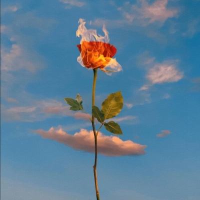 管家婆一码一肖资料截图